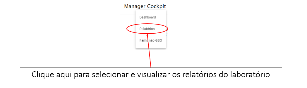 Guia do usuário GBO eTrack
